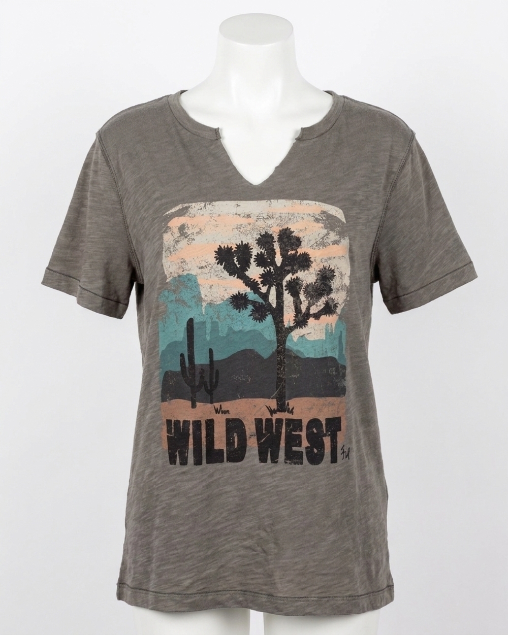 NEW GRACE AND LACE wild west washed and worn tee in multi